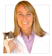 Dr. Kimberley Johnson